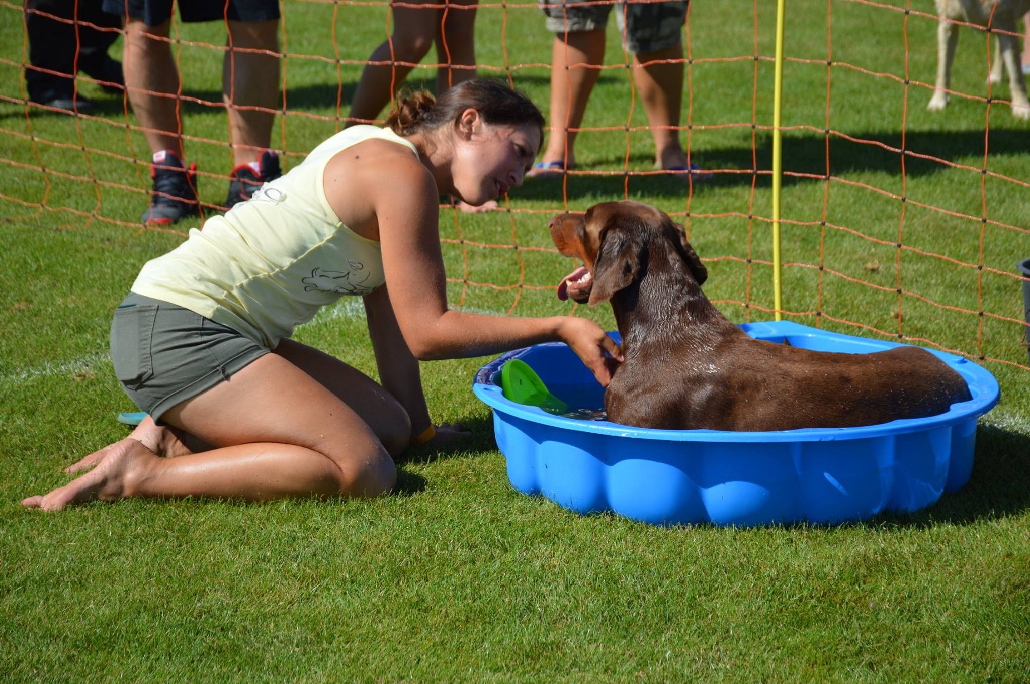Ergebnisse und Fotos vom Dogfrisbee Fun Turnier am 1. Hundetag Korneuburg 2015